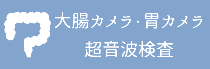 大腸カメラ・胃カメラ 超音波検査